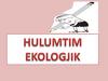 Hulumtim ekologjik