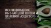 Исследование выбранной ниши и целевой аудитории