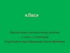 Лес. Презентация к внеурочному занятию 1 класс, 1 полугодие