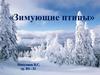 Зимующие птицы