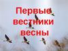 Первые вестники весны
