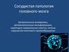 Сосудистая патология головного мозга