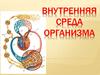Внутренняя среда организма
