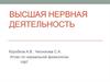 Высшая Нервная Деятельность