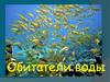 Обитатели воды