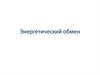 Энергетический обмен