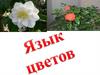 Язык цветов