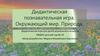 Дидактическая познавательная игра. Окружающий мир. Природа