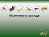 Насекомые в природе