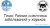 Ранние симптомы заболеваний у хорьков
