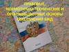 Правовые, нормотивно-технические и организационные основы обеспечения бжд