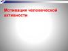 Мотивация человеческой активности