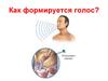Как формируется голос? Участие носовой и ротовой полости в формировании речи (3)