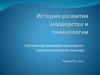 История развития акушерства и гинекологии. Система организации акушерско-гинекологической помощи