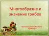 Многообразие и значение грибов
