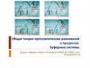 Общая теория протолитических равновесий и процессов. Буферные системы