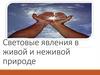 Световые явления в живой и неживой природе