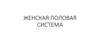 Женская половая система