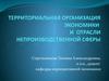 Территориальная организация экономики и отрасли непроизводственной сферы