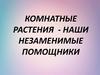 Комнатные растения - наши незаменимые помощники