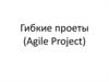 Гибкие проекты