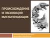 Происхождение и эволюция млекопитающих