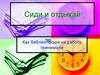Сиди и отдыхай. Как библиотекаря на работу принимали