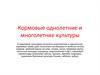 Растениеводство. Кормовые однолетние и многолетние культуры