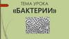 Бактерии
