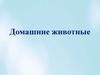 Домашние животные