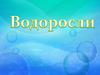 Водоросли. 6 класс