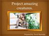 Project amazing creatures