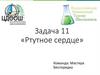 Задача 11 «Ртутное сердце» Команда: Мастера Беспорядка
