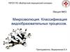 Микроэволюция. Классификация видообразовательных процессов