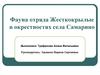 Фауна отряда Жесткокрылые в окрестностях села Самарино. Зоология и экология беспозвоночных животных