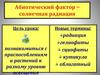 Абиотический фактор – солнечная радиация