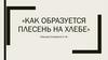 Как образуется плесень на хлебе