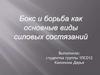 Бокс и борьба как основные виды силовых состязаний