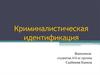 Криминалистическая идентификация
