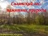 Силинский лес - памятник природы