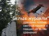 Песня "Белые журавли". Светлая память о павших на полях сражений