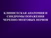 Клиническая анатомия и синдромы поражения черепно-мозговых нервов