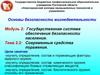Государственная система обеспечения безопасности населения. Современные средства поражения. (Тема 2.2)