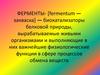 Ферменты - [fermentum — закваска] — биокатализаторы белковой природы