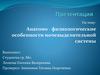 Анатомо-физиологические особенности мочевыделительной системы