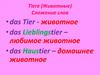 Tiere (Животные). Сложение слов