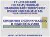 Поверхностные образования на зубах