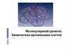 Молекулярный уровень. Химическая организация клетки