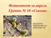 Фотоотчет за апрель