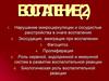 Воспаление. Сосудистые расстройства в очаге воспаления